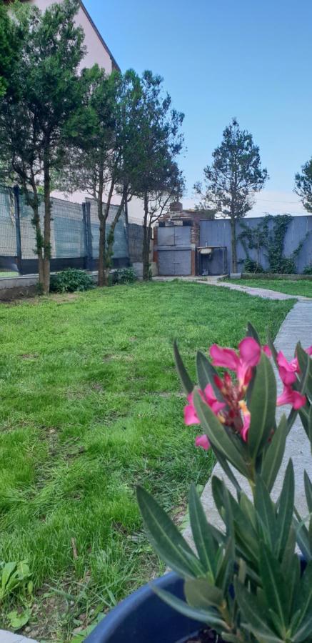 Pensiunea Andra Costinesti Exterior foto